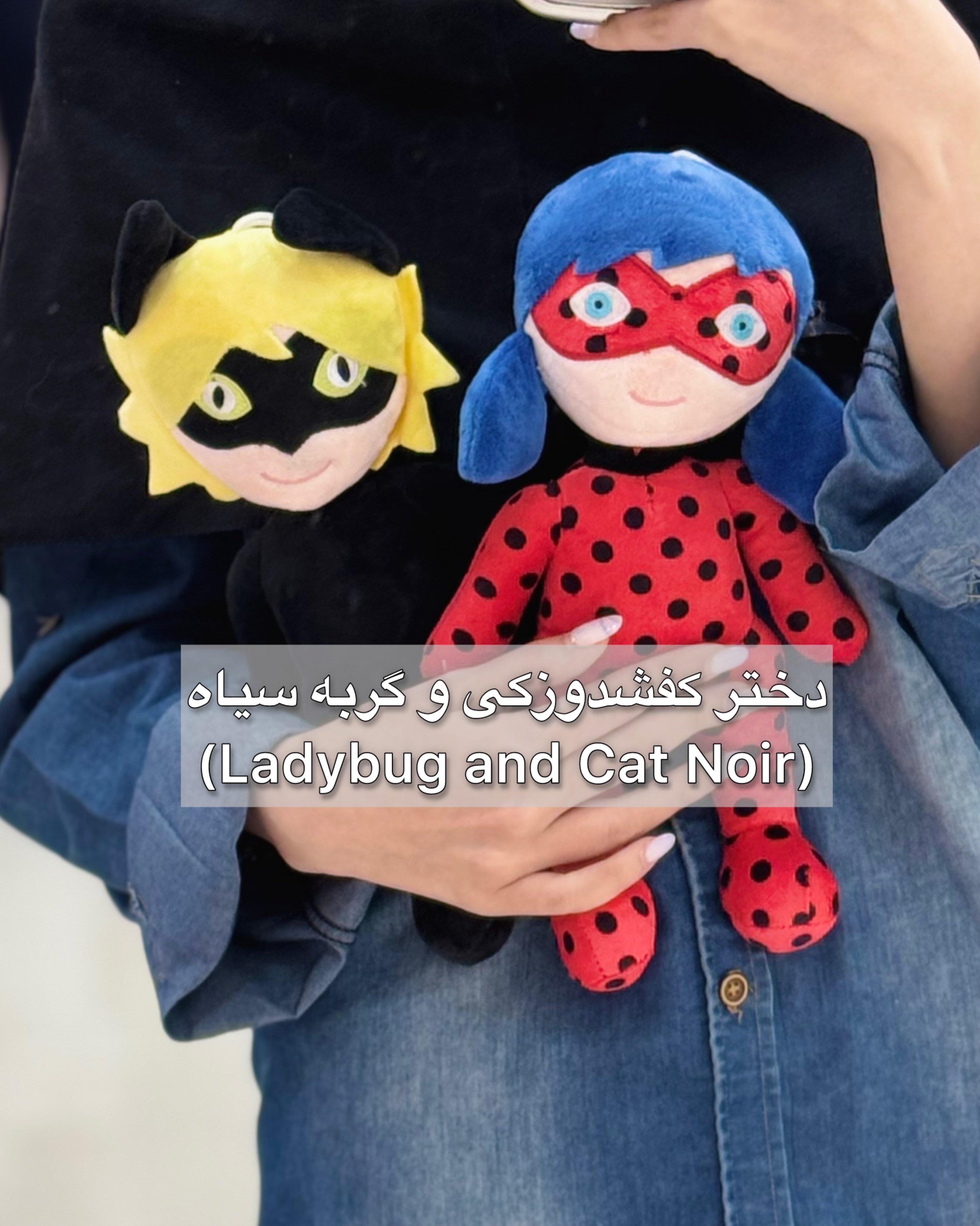 عروسک دختر کفشدوزکی و گربه سیاه
