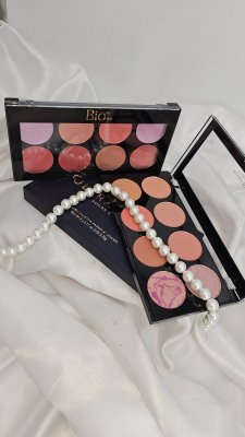 خرید محصول پالت رژگونه bio star